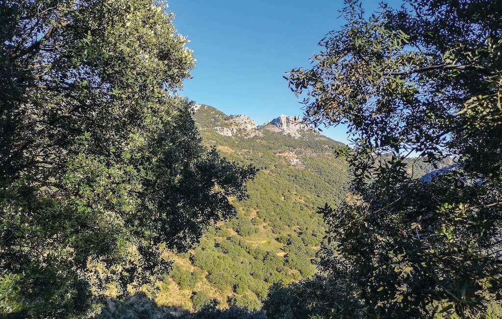 ARTEGENAL, Maison 2 personnes à Benalauría - Photo 13