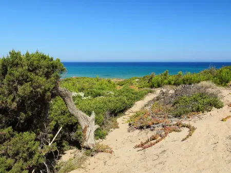 Maison Baia delle Mimose à 50 m de la plage - Photo 21