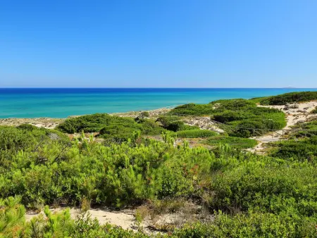 Maison Baia delle Mimose à 50 m de la plage - Photo 23