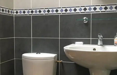 Maison 39 m² avec spa à Fougerolles du Plessis : photo 6