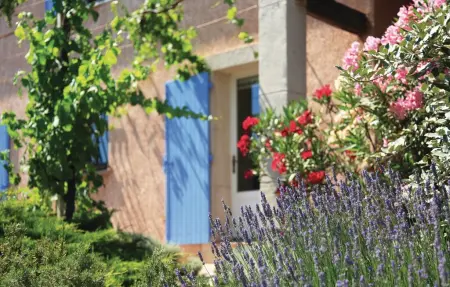 Maison 4 chambres avec piscine privée à Roquebrun : photo 15