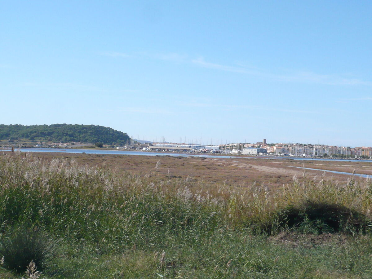 Les Amandines : Maison 4 pers. à 600 m de la mer - Photo 20