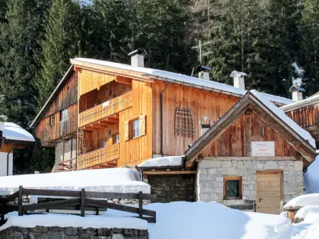 Appartement Trottner à Mazzin, accès ski à 2,4 km : photo 2