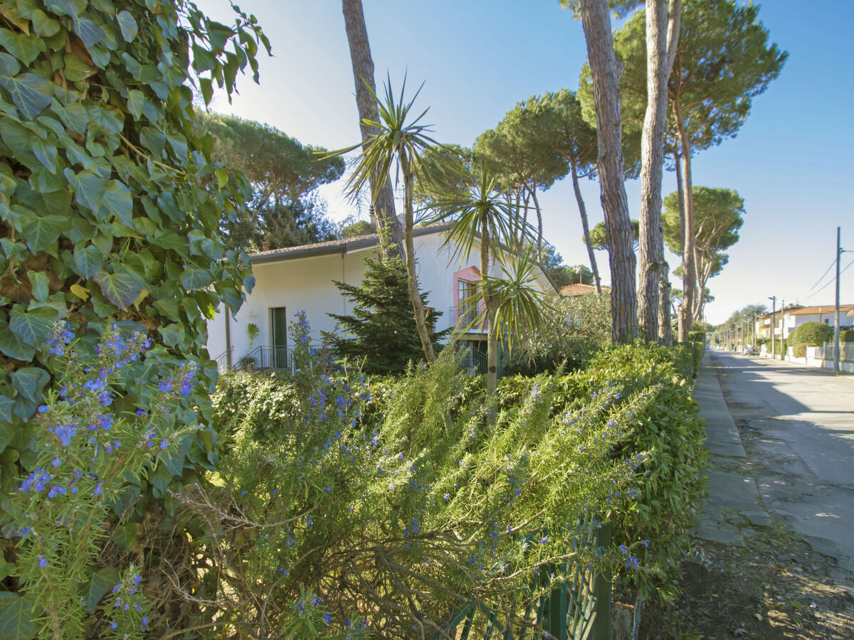 Maison Patrizia à Marina Pietrasanta, 1,2 km de la plage - Photo 6