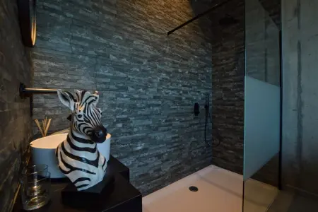 Villa Le 3D à Dalhem : 3 chambres, terrasse et jardin : photo 21