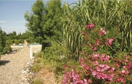 Location Maison 6 personnes à Argeliers - Photo 10