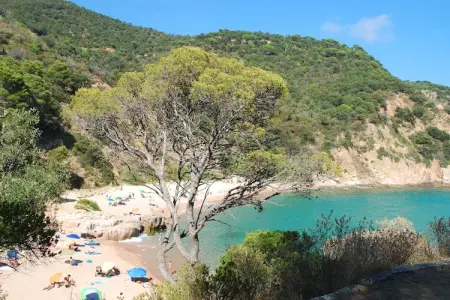 Finca GuiMar – Maison avec piscine à Sant Feliu : photo 37