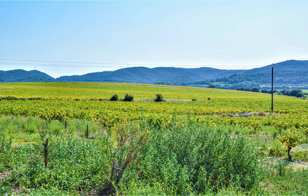 Maison en pierre à Vénéjan avec vue Mont Ventoux - Photo 25