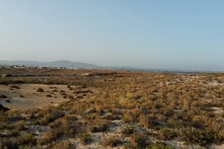 Casinha Grande – Maison à Olhão près de Ria Formosa : photo 28