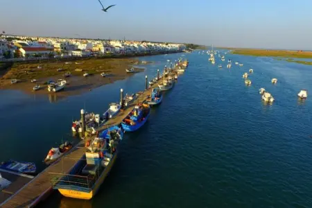 Casinha Grande – Maison à Olhão près de Ria Formosa : photo 35