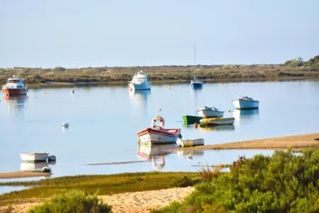 Casinha Grande – Maison à Olhão près de Ria Formosa : photo 40