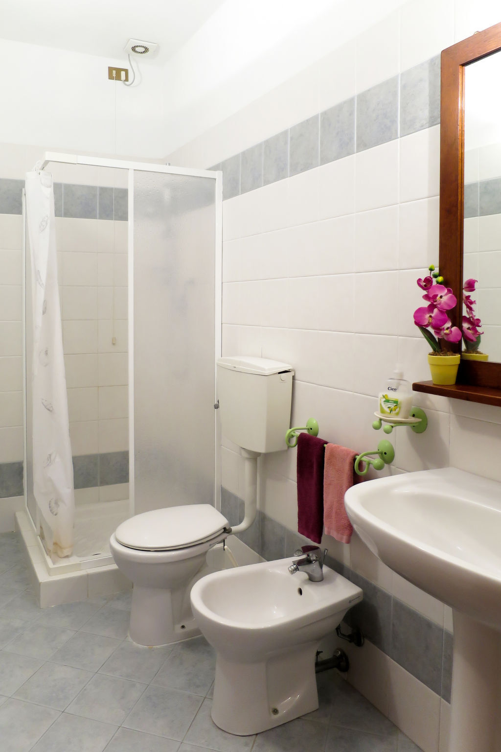 Appartement Magnolia à Pastina, 15 km de la mer - Photo 18