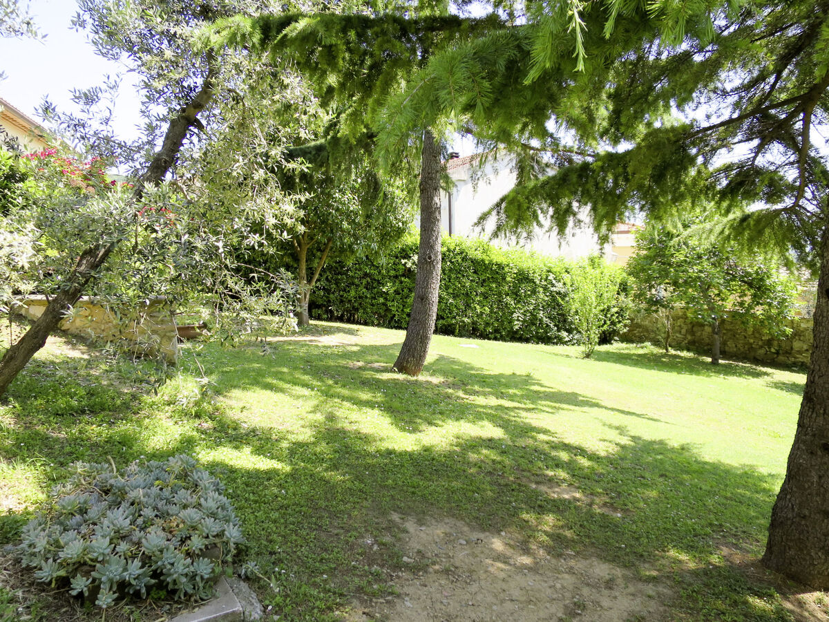 Vaniglia – Appartement 6 pers. à Pastina - Photo 18