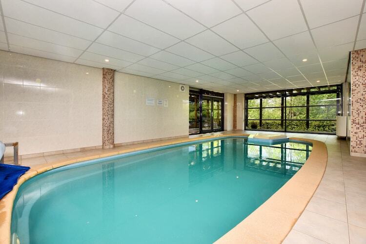 Chalet Opaal : piscine intérieure et sauna à Manhay - Photo 9