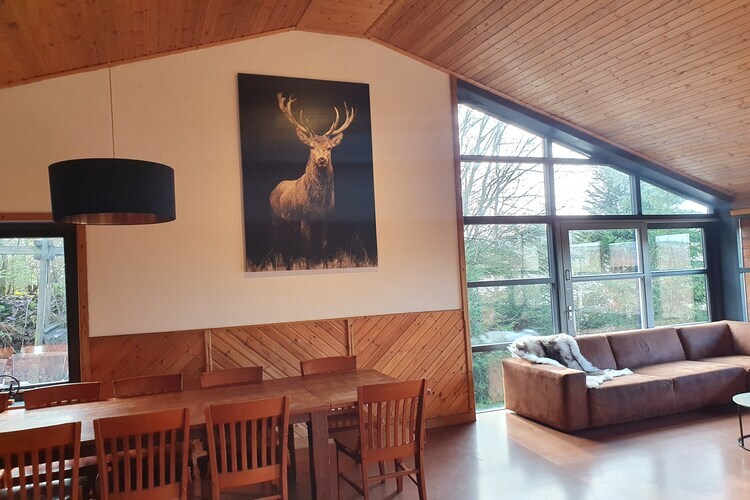 Chalet Opaal : piscine intérieure et sauna à Manhay - Photo 10