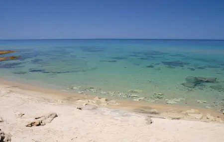 Location maison à Orosei