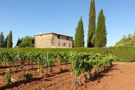 Entre les vignobles, Piscine privée en Provence - Photo 29