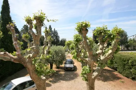 Entre les vignobles, Piscine privée en Provence - Photo 32
