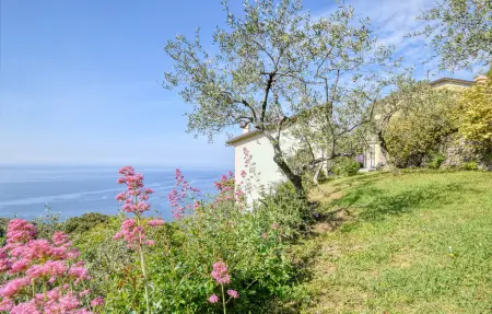 S. Rocco dimora tra ulivi e M., Maison 8 personnes à Zoagli - Photo 13