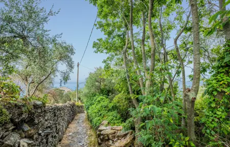 S. Rocco dimora tra ulivi e M., Maison 8 personnes à Zoagli - Photo 36