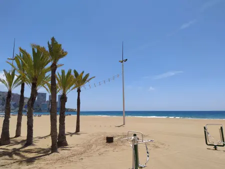 Las Palmeras – Apt 13e étage vue mer, Benidorm : photo 13