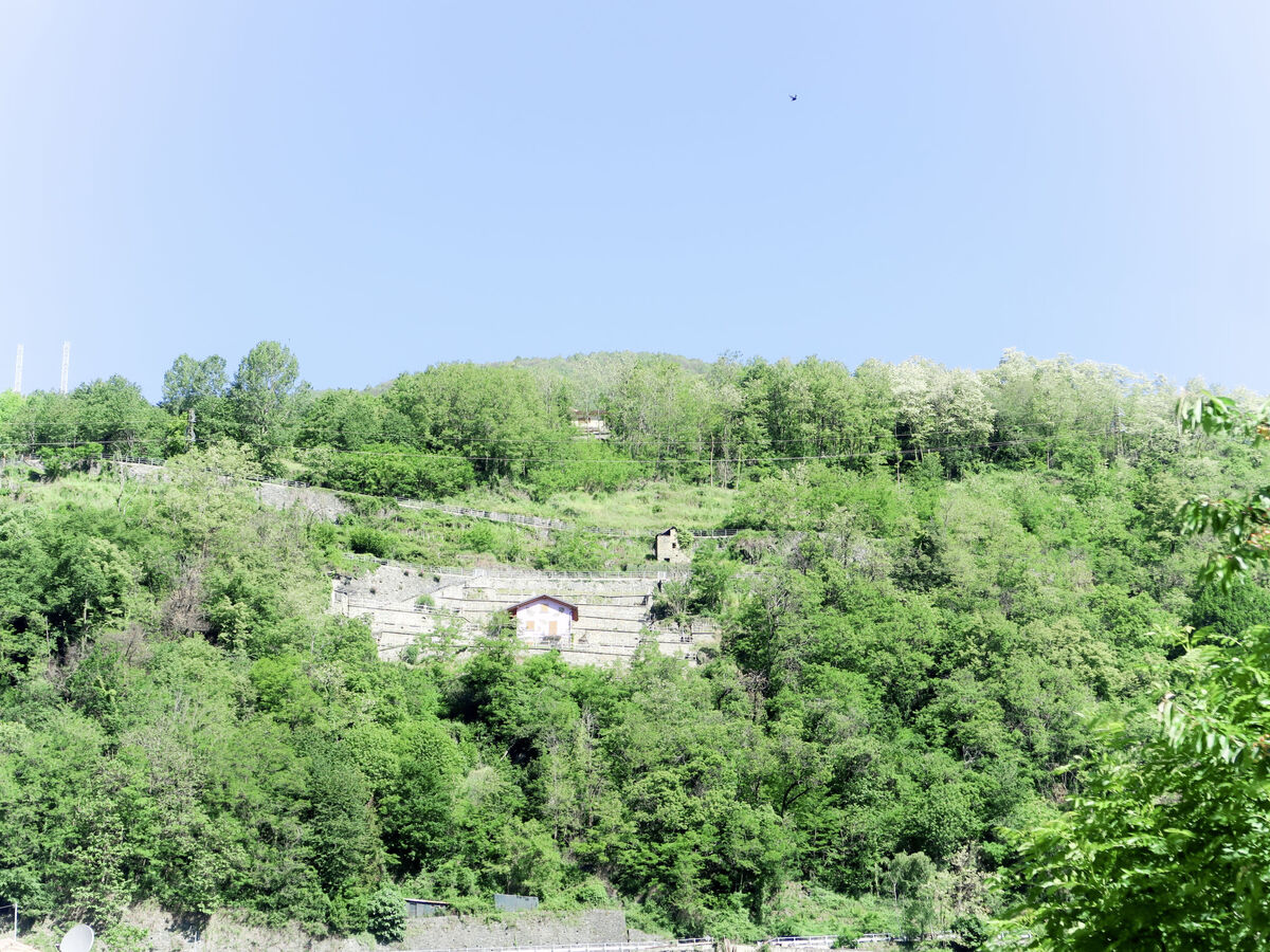Residenza La Sassicaia - Maison avec vue lac - Photo 28