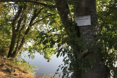 Villa Piscine Bourgogne 10 pers, Manoir à Charrin près de la Loire avec Piscine - Photo 36