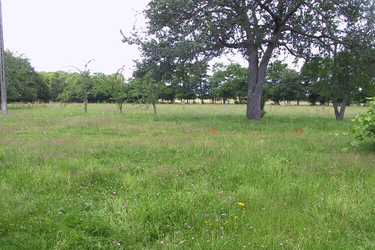 Maison 7 pers avec jardin, animaux acceptés à Decize - Photo 36