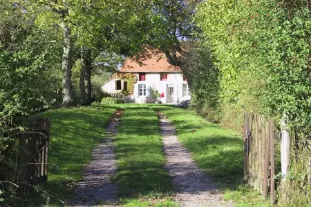 Gite 7 pers Decize, Maison à Decize proche de la Plage - Photo 18