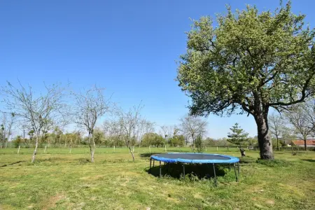 Gite 7 pers Decize, Maison à Decize proche de la Plage - Photo 28