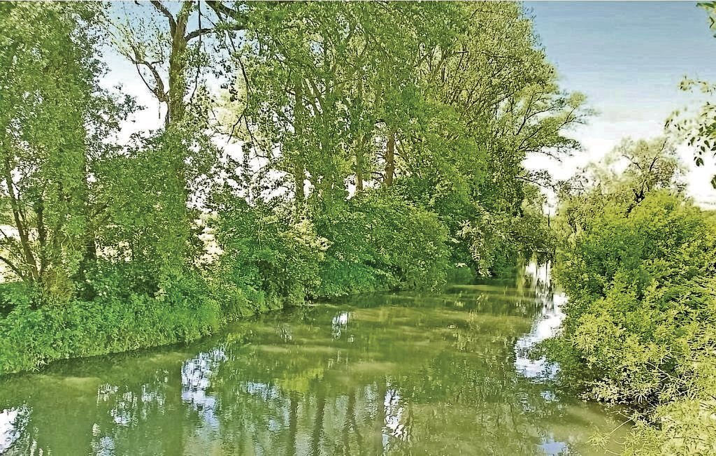Maison 70 m² avec poutres apparentes à Grigny - Photo 19
