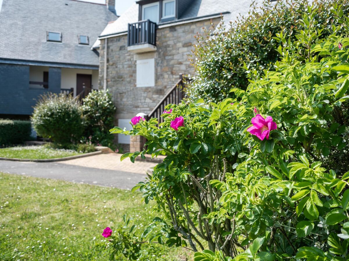 Studio rénové 21 m² à 300 m de la mer, Carnac - Photo 19