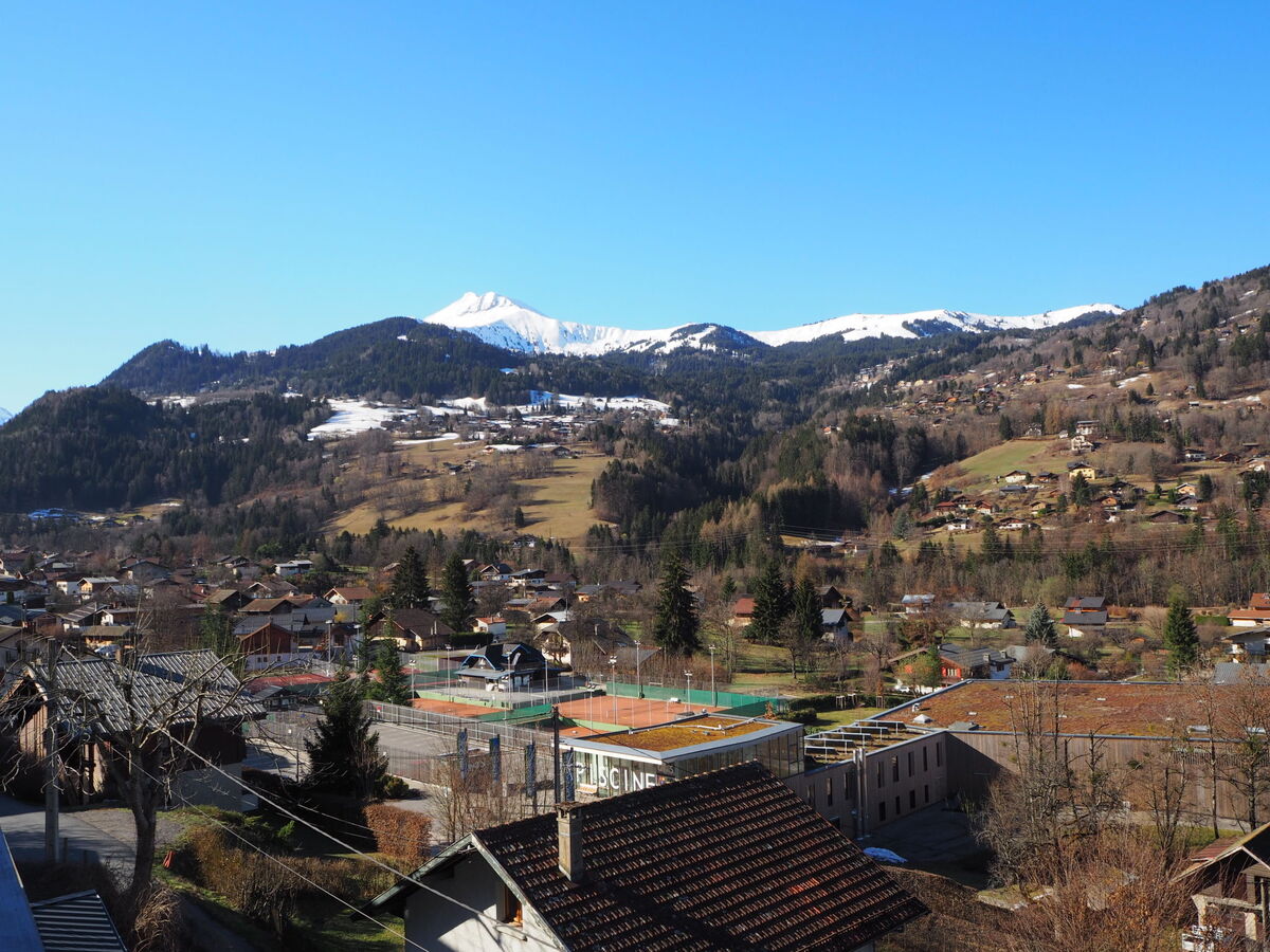 Les Gentianes - Appartement 3 pièces vue montagne - Photo 8