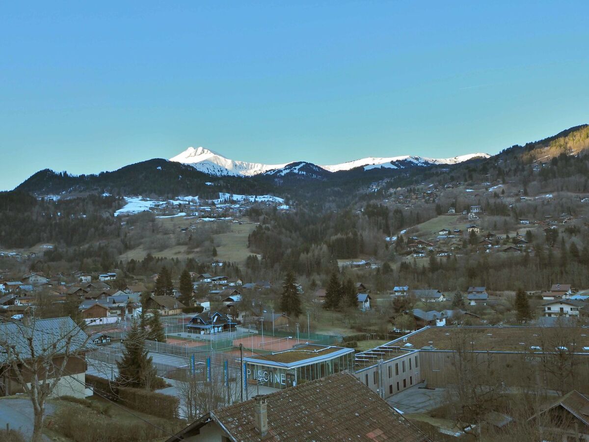 Les Gentianes - Appartement 3 pièces vue montagne - Photo 23