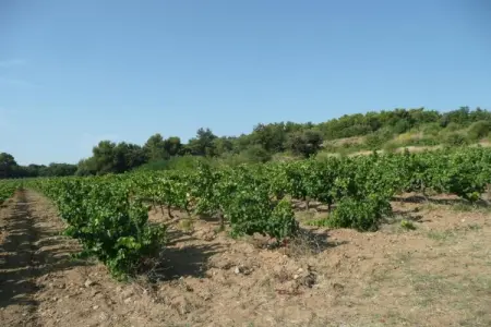 La Queue du Loup – Maison avec piscine privée à Buisson : photo 18