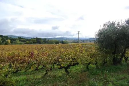 La Queue du Loup – Maison avec piscine privée à Buisson : photo 21