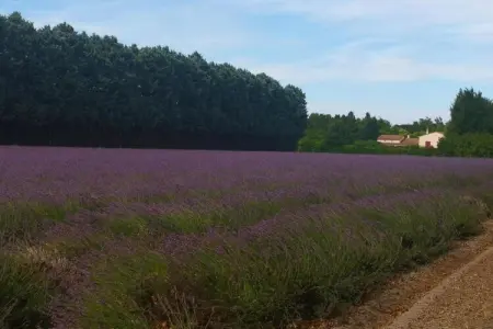 La Queue du Loup – Maison avec piscine privée à Buisson : photo 26