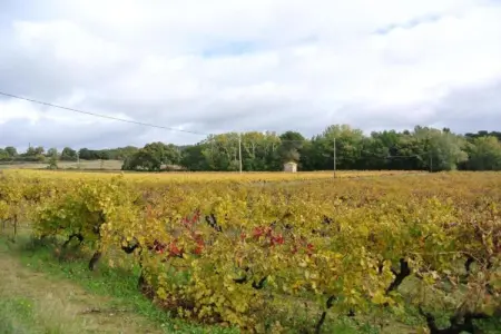 La Queue du Loup – Maison avec piscine privée à Buisson : photo 28