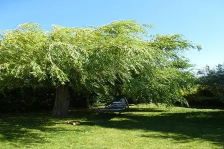 La Queue du Loup – Maison avec piscine privée à Buisson : photo 39