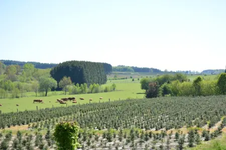 Gîte La Pépinière, 8 pers., forêt à 100 m : photo 28