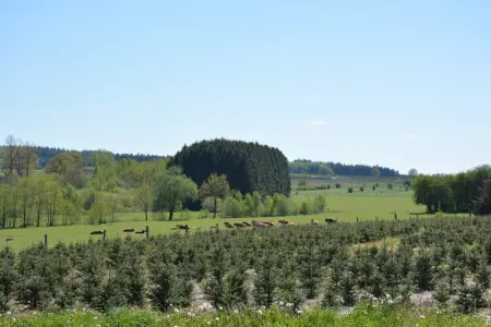 Gîte La Pépinière, 8 pers., forêt à 100 m : photo 30