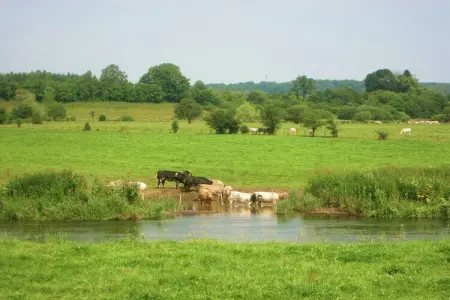 Gîte La Pépinière, 8 pers., forêt à 100 m : photo 31