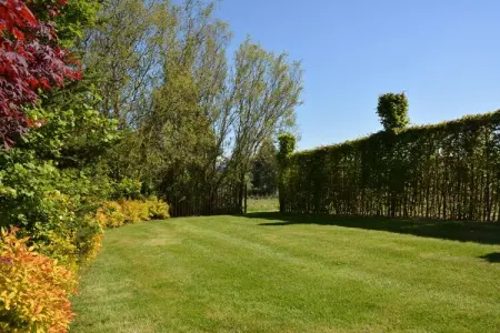 Gîte La Brocanteuse à Jehonville, 8 pers., 4 ch. : photo 25