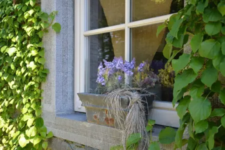 Gîte La Brocanteuse à Jehonville, 8 pers., 4 ch. : photo 33