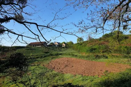 Maison 6 pers. Bourgogne avec piscine et 5 hectares : photo 29