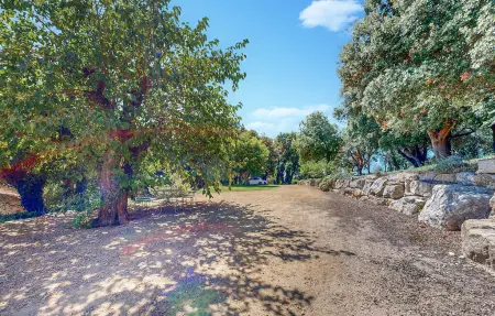 Maison pierre avec piscine privée à Bollène : photo 15