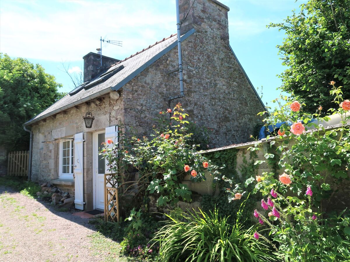 Gwenn, gîte 2 chambres à 1,4 km de la mer - Photo 24