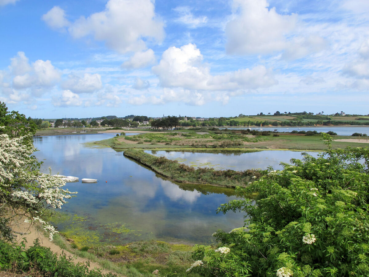 Gwenn, gîte 2 chambres à 1,4 km de la mer - Photo 37