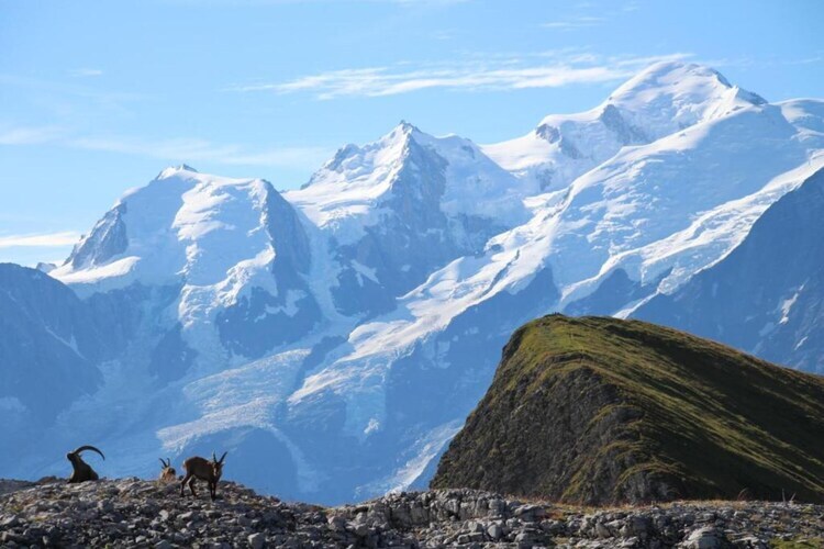 Chalet 8 pers. Flaine, piste de ski face au balcon - Photo 34