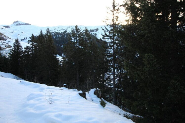 Chalet Les Portes du Grand Massif, face aux pistes - Photo 35